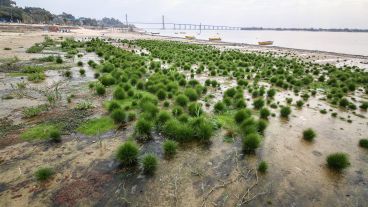 Así se encuentra la rambla Catalunya debido a la bajante del río Paraná. La altura de este miércoles era de 0.61 metros.