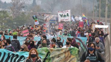 Los rosarinos cruzaron el río para pedir el cese de los incendios en el humedal.