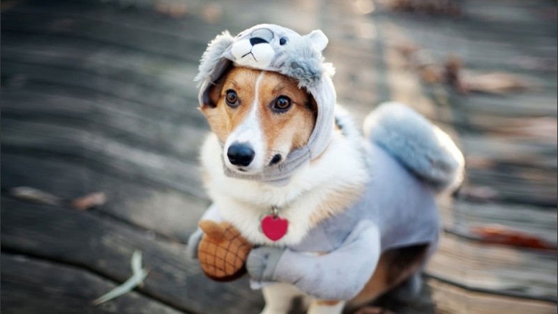 Se fue el alerta por vientos y llegó el frío