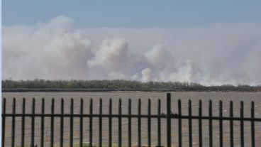 Tras la lluvias de la semana pasada, volvieron las quemas de pastizales.