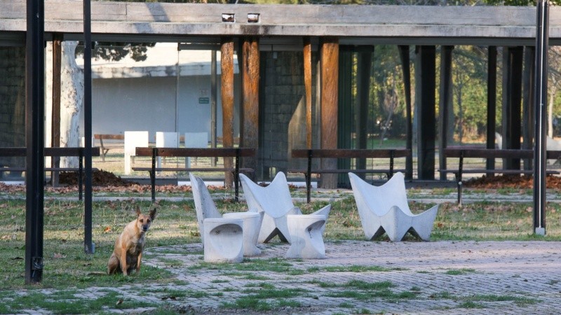 A 7 años de la tragedia del International Park, así está el predio