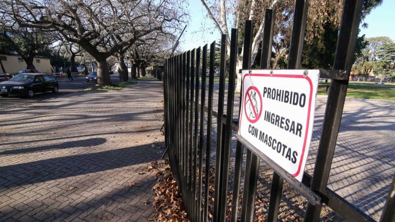 A 7 años de la tragedia del International Park, así está el predio