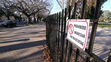 A 7 años de la tragedia del International Park, así está el predio