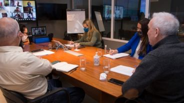 El encuentro virtual se realizó este miércoles con autoridades nacionales, provinciales y locales.