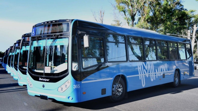 Las unidades van a cumplir un mes sin funcionar.