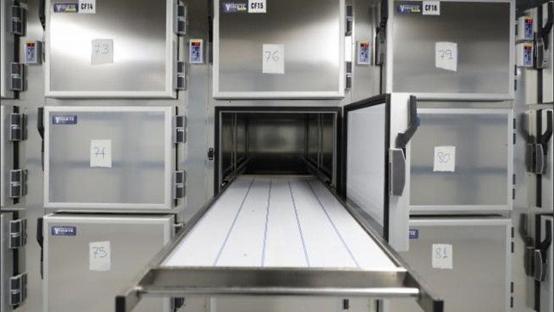 Una mujer de 81 años “revivió” en la morgue después de haber sido declarada muerta