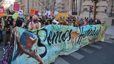 Una multitudinaria marcha pidió la ley de humedales.