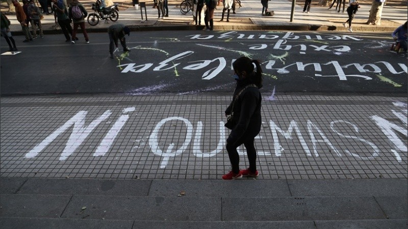 Los grupos ambientalistas organizaron una nueva marcha por los humedales.