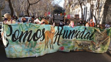 La movilización reclamó una ley nacional y rechazó los incendios.