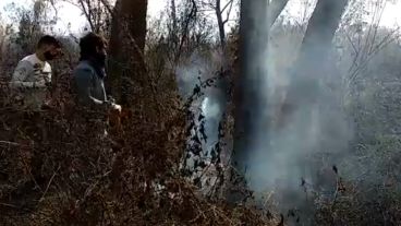 Los voluntarios en el combate del fuego.
