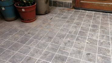 La lluvia de cenizas de este lunes en un patio de Pichincha.