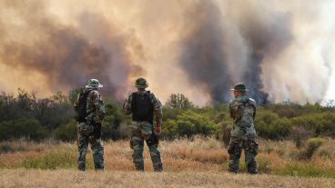 Los brigadistas resultan escasos para el descomunal volumen de las llamas y la proliferación de focos cada día.