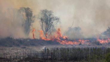 El proyecto de reforma de la Ley de Manejo de Fuego establece que por el término de 60 años no se podrá cambiar el uso de los bosques nativos o implantados, áreas naturales protegidas y humedales,