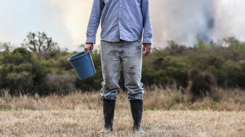 En 2020 quemaron más de medio millón de hectáreas de humedal.