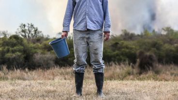 En 2020 quemaron más de medio millón de hectáreas de humedal.