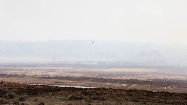 El gran foco que se desató a la vera de la ruta Rosario-Victoria.
