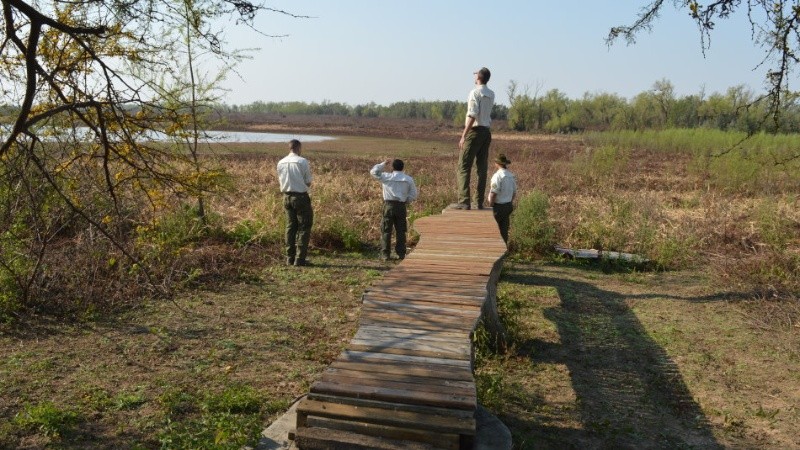 Guardaparques nacionales patrullan las islas santafesinas frente a Puerto Gaboto.