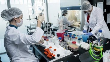 Hasta el momento, la cantidad de fallecidos en el país es de 7.839.