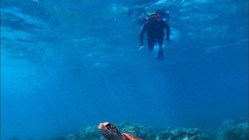 Los cuidadores seleccionados vivirán en el faro de la primera de estas dos islas.