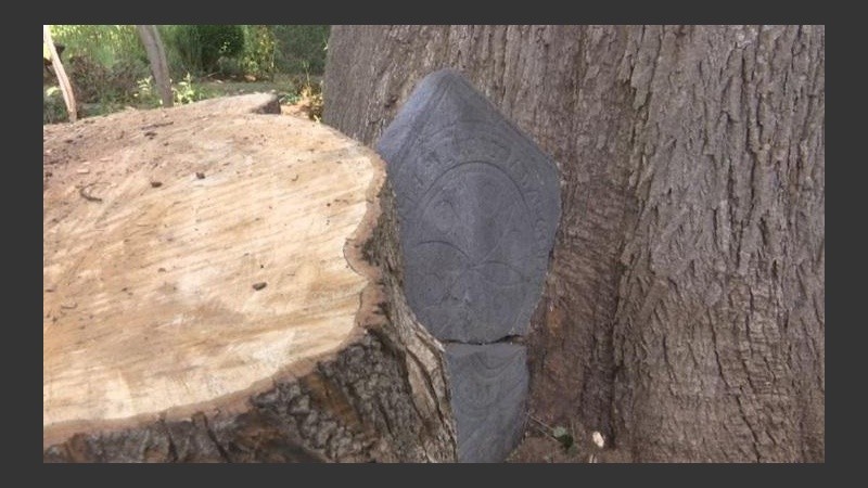  Las niñas murieron en 1736 con unos días de diferencia.