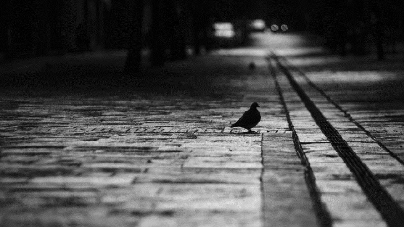 La pandemia obliga a retrocesos en algunas de las mejoras logradas estos meses.