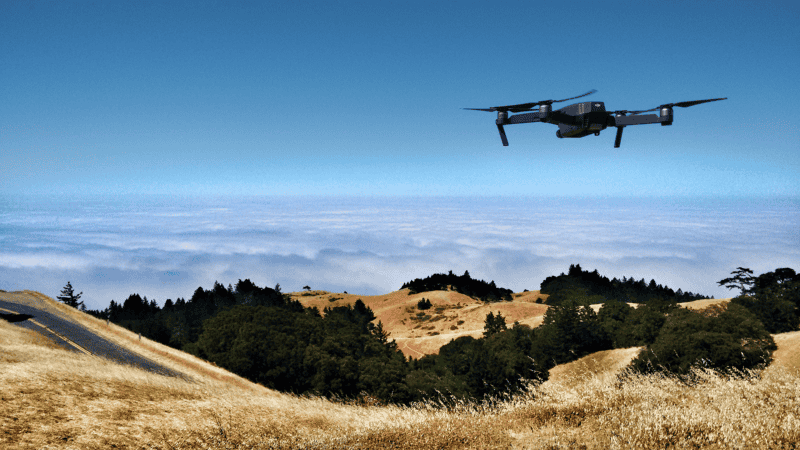 Los drones cubrirán rápidamente la zona disparando al suelo semillas de árboles.