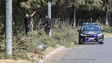 El lugar del siniestro vial fatal, en el parque Scalabrini Ortiz.
