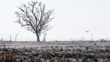 A pesar de la lluvia, mantienen la vigilancia en las islas.