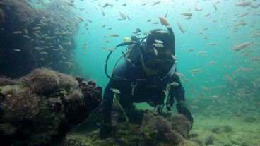 El 19 de septiembre de 1861 la embarcación se incendió y se hundió.