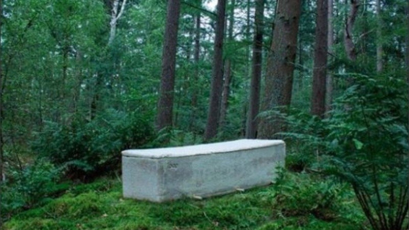 Cuestan unos 1.500 dólares, pero se espera que el precio baje.