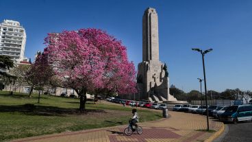 Cerca del Monumento también se ven muchos de ellos.