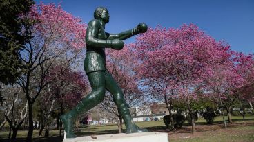 Los lapachos colorean el paisaje de la ciudad.
