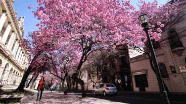 Una postal en Santa Fe y Moreno.