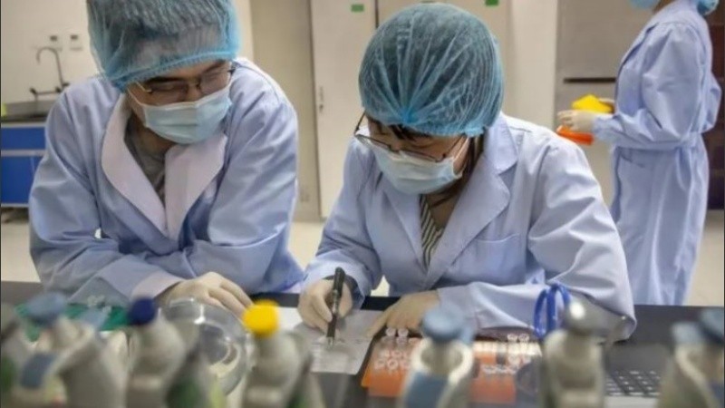 Generalmente no es contagiosa entre los humanos.