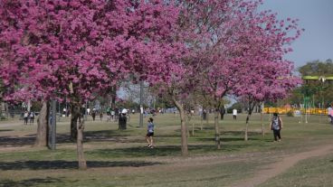 Una primavera distinta en pandemia.