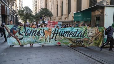La caravana de la Multisectorial Humedales desplazándose por el centro de Rosario.