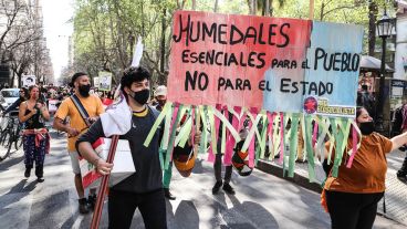"Humedales a extraordinarias", el pedido del "Festival Socioambiental".