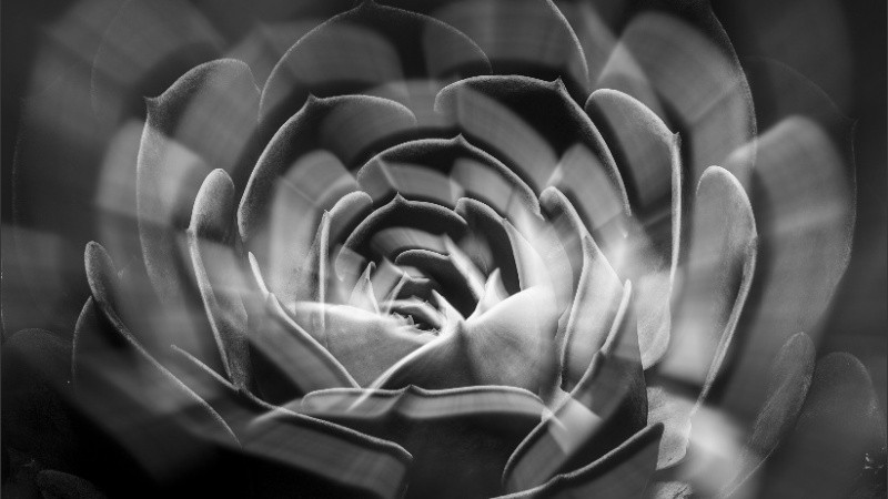 La cita es este viernes a las 19 a través del Instagram del CEC.