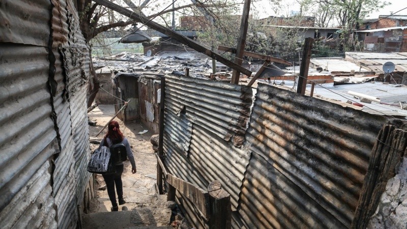 El grupo se divide en equipos que recorre distintas áreas de la zona.