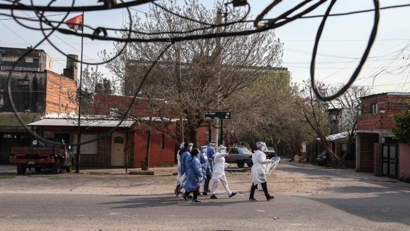 El grupo se divide en equipos que recorre distintas áreas de la zona.