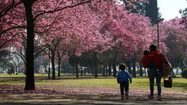 ¿Cómo será la primavera en cuarentena?, es la pregunta.