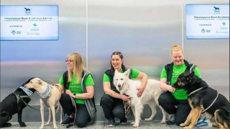 En la prueba se frota la piel con una toallita especial que recogerá su sudor y la deposita en una taza