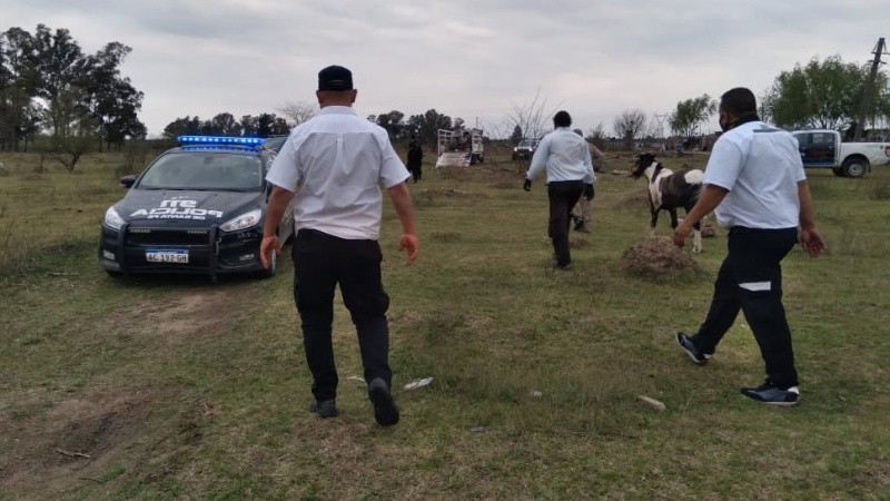 Las imágenes del operativo en la zona noroeste de Rosario.