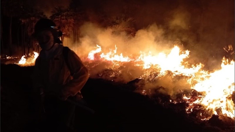 El fuego afectó varias hectáreas en el departamento Vera.