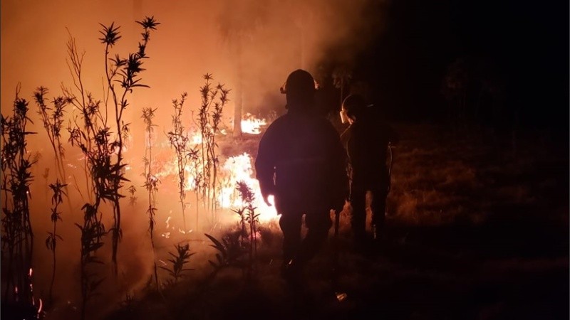 El fuego afectó varias hectáreas en el departamento Vera.
