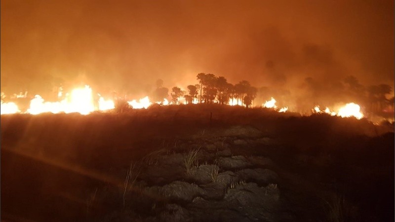 Los campos incendiados en el norte provincial.