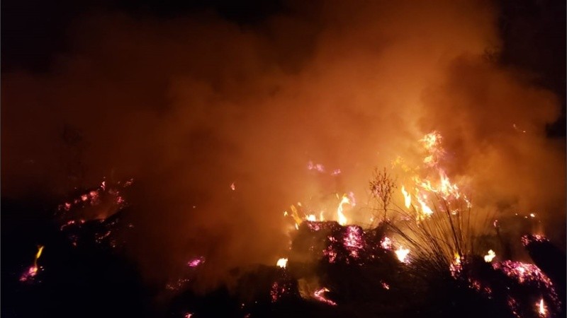 Bomberos Zapadores actuaron en el combate de las llamas.