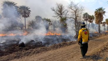 Los campos incendiados en el norte provincial.