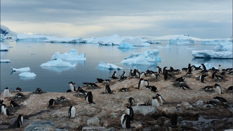 El calentamiento global aumentó la temperatura anual en el mar de Ross.
