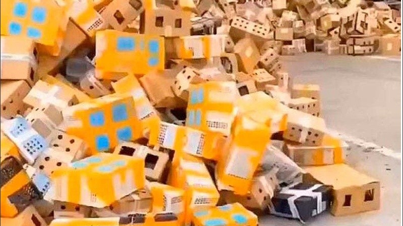 Los animales habían sido embalados para enviar a futuros propietarios.